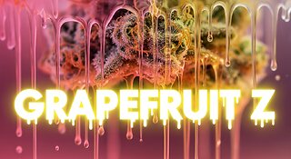 Grapefruit Z HEADY HEADS Bubba Factory #bubbafactory