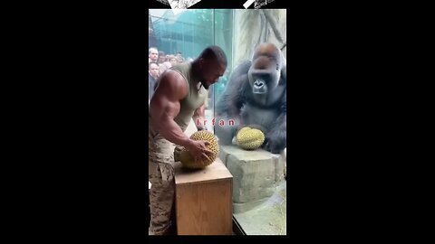 Jackfruit Challenge | Man vs Gorilla 🦍 | Can a Human Break This Fruit?