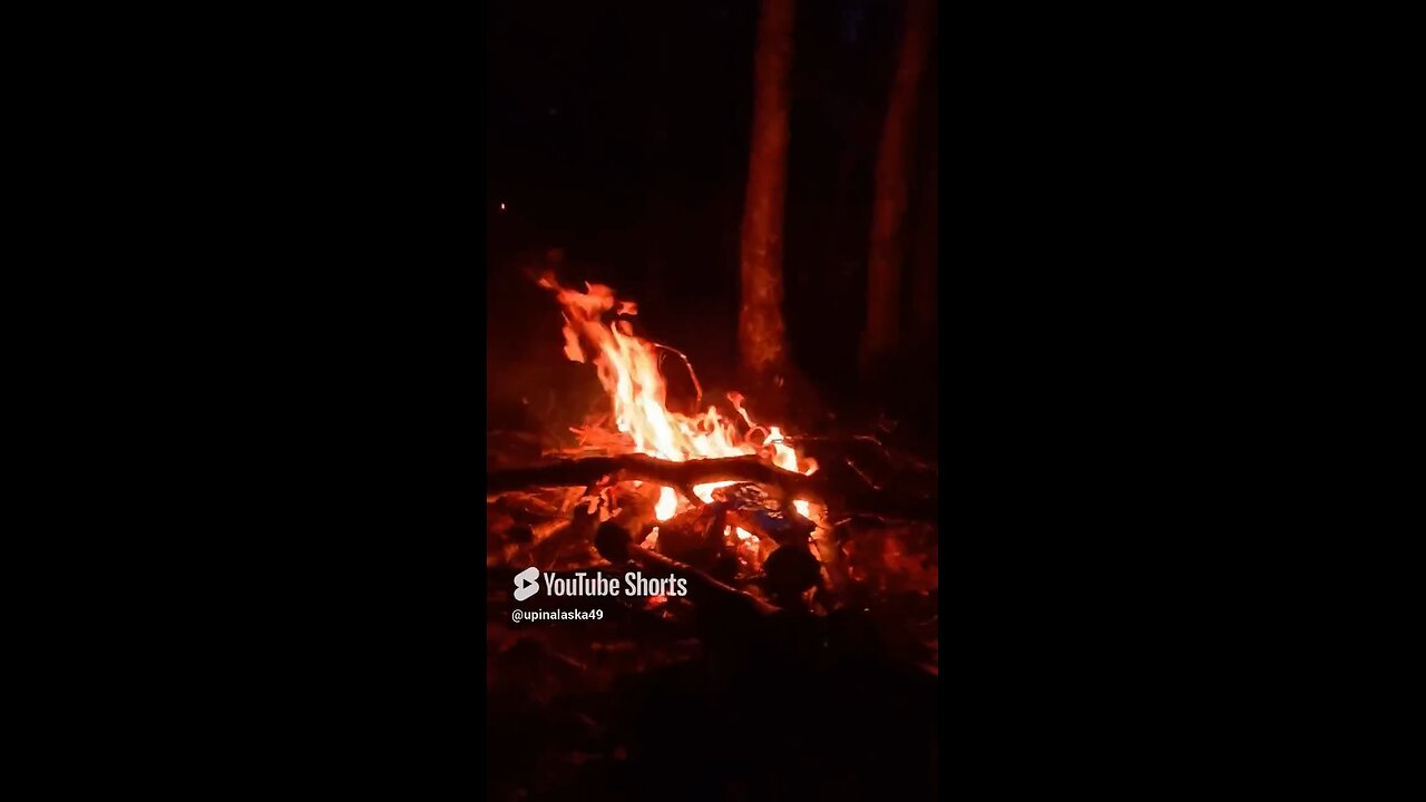 Enjoying the outdoors #Alaska #Camping #Nature #Hiking #Bushcraft #Cooking #Fyp #DJIaction5pro