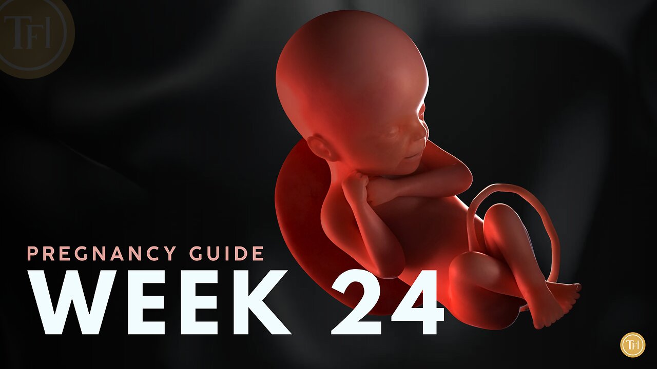 What to Expect at Week 24 | Week by Week Pregnancy Guide