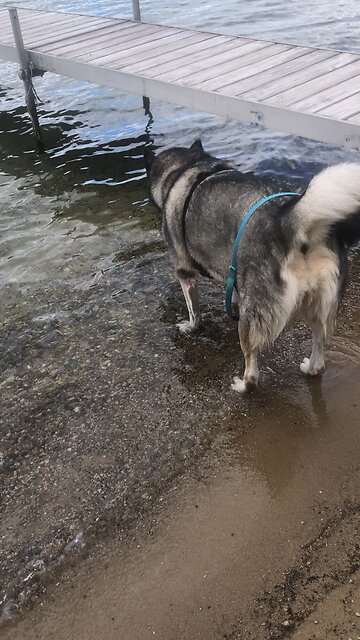 Thursday September 25, I say Love your enemies