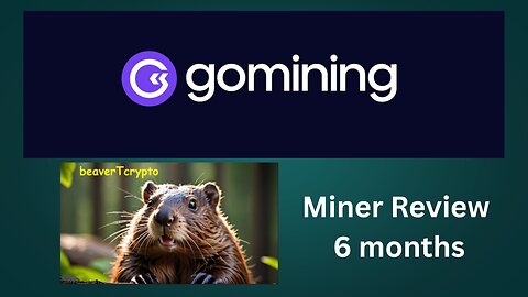 GoMining Miner Review 6 months