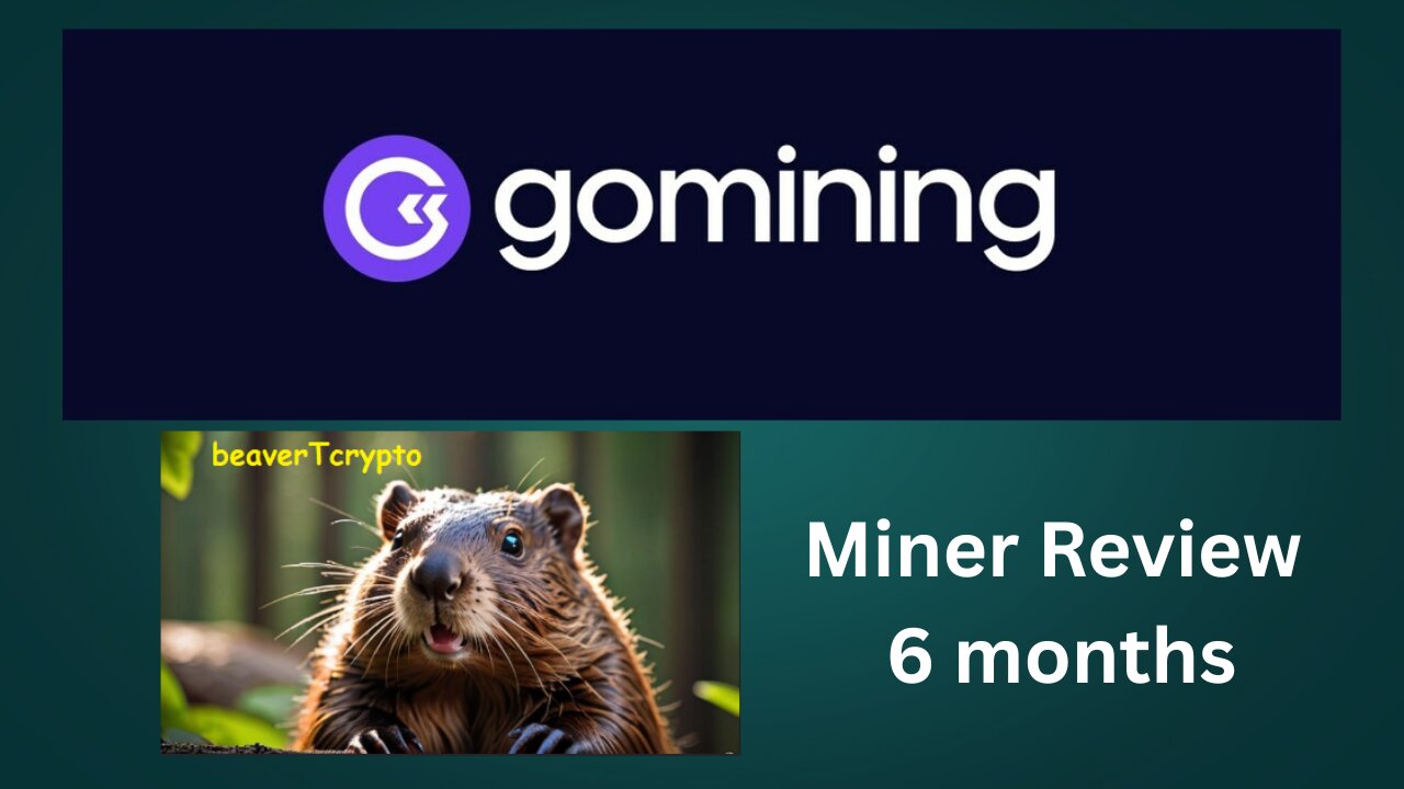 GoMining Miner Review 6 months