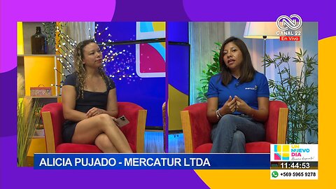 Alicia Pujado Mercatur Ltda