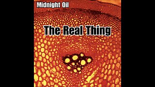 Midnight Oil - The Real Thing (2000) [Full Album]