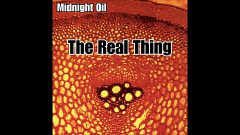 Midnight Oil - The Real Thing (2000) [Full Album]
