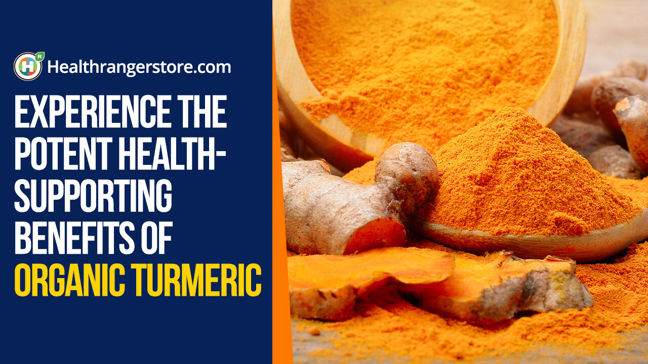 Experience the potent health-supporting benefits of Organic Turmeric