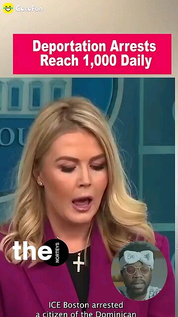 Dabrand hgm knows news