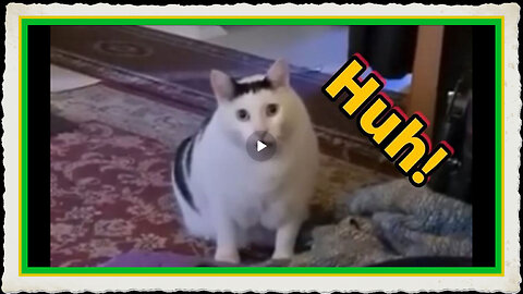 HOW MANY PENSIONS DO YOU QUALIFY FOR