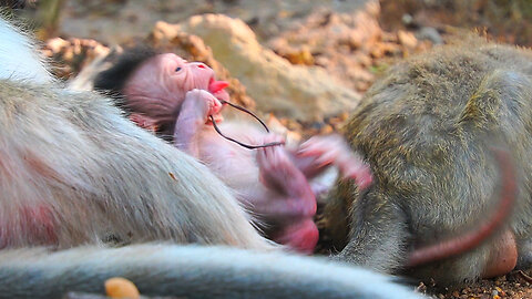 Sad Story Of Newborn Baby EMORY When Mom Put Him Aways Without Care