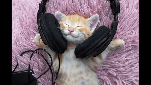 Jean Set! (Myrath; Marko Hietala; BtBM; Che Aimee Dorval; Earthside)(#537)