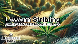 Deschedule Earth: LaWann Stribling