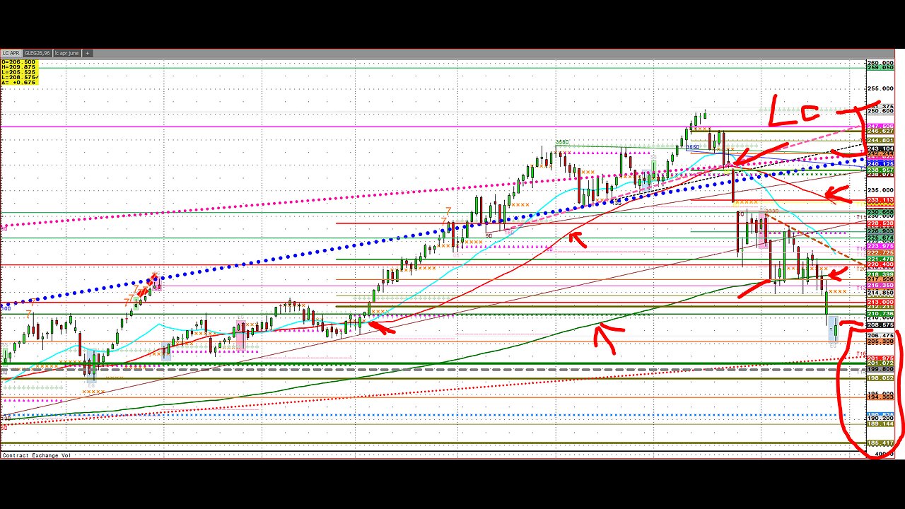 Cattle, Holiday Buying 2-week rally to short?