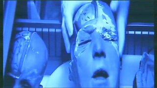 WHAT IS CYBERNETICS? - Psychopath A.I. GOD or S.A.T.A.N. depends on who Controls the A.I.