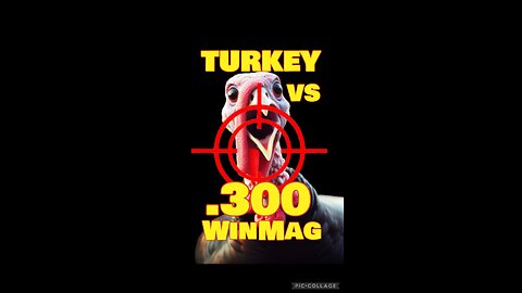 Turkey VS .300WinMag