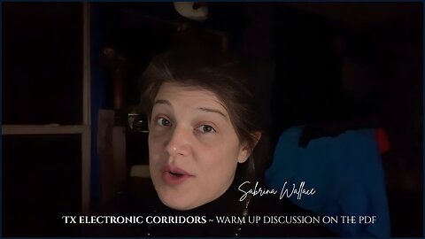 Tx Electronic Corridors ~ Warm Up Discussion On The Pdf - Sabrina Wallace