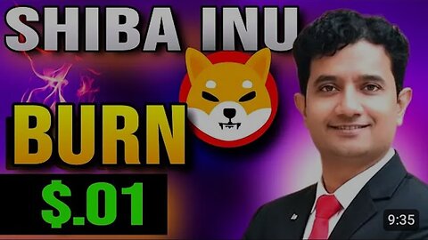 Shiba Inu Burning to $.01🔥 How Much to BURN