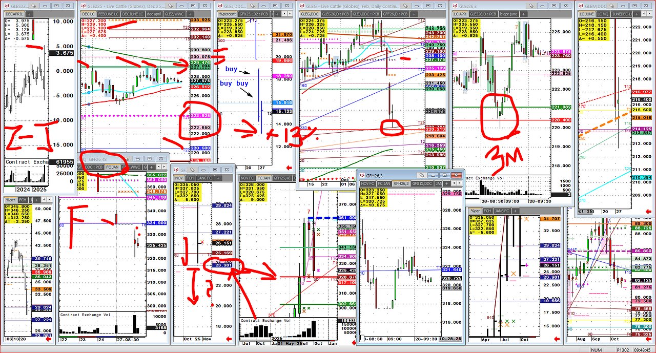 Cattle, limit down again, $40