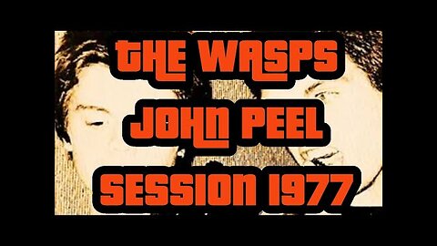 THE WASPS......JOHN PEEL SESSION 1977.