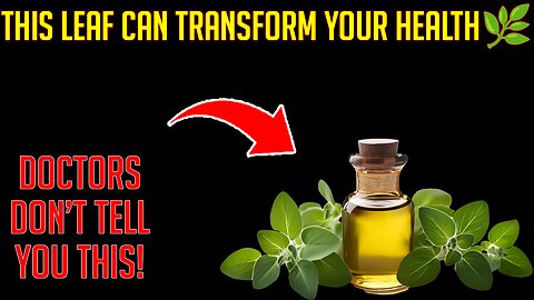 Oregano: The Natural Antibiotic Hiding in Your Kitchen 🌿