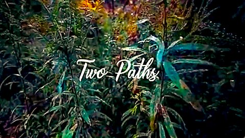 Two Paths || Abortion Or Adoption !!