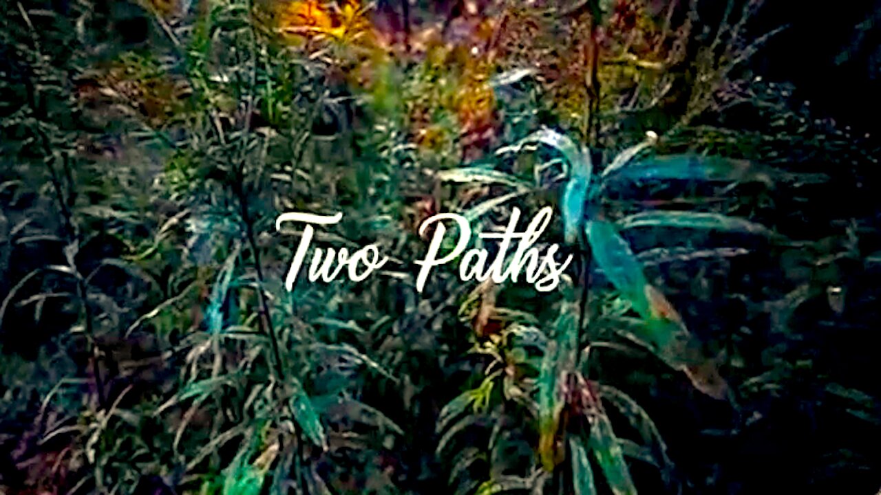 Two Paths || Abortion Or Adoption !!