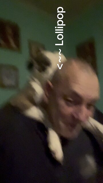 😂😂😂 My Two love bugs