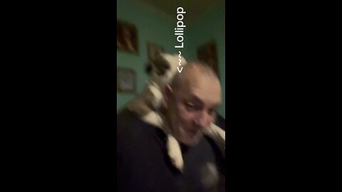 😂😂😂 My Two love bugs