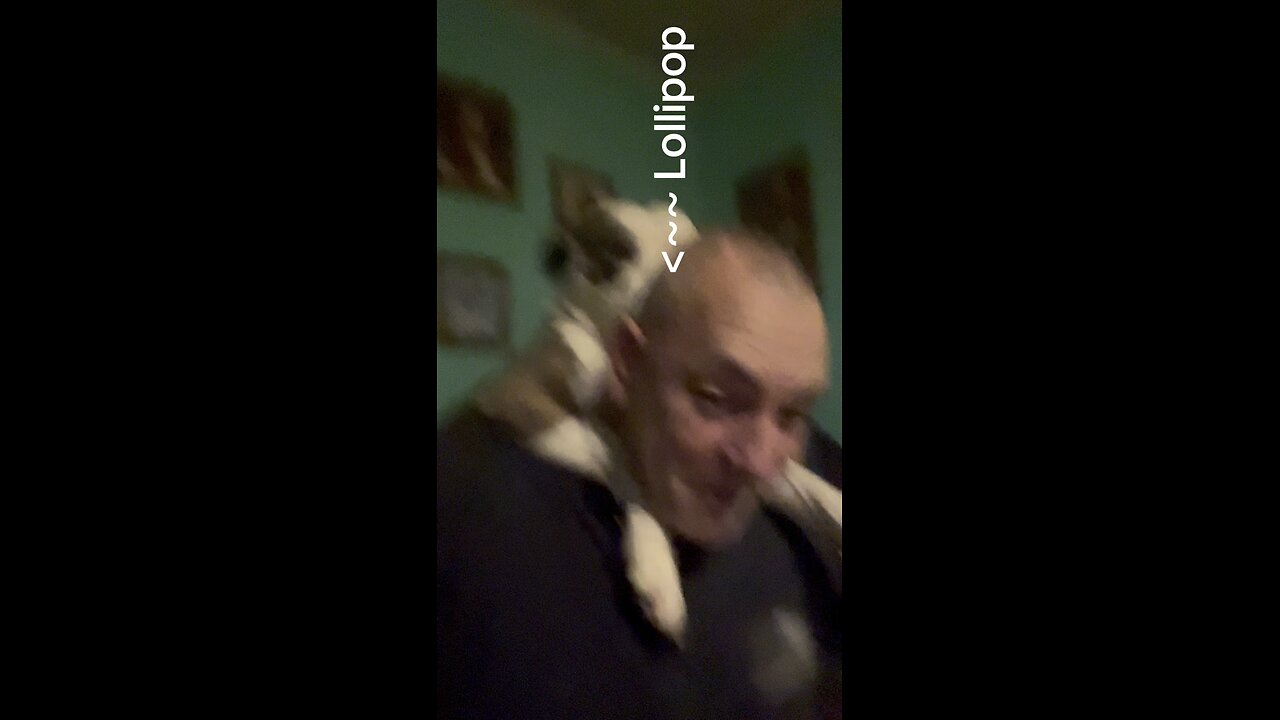 😂😂😂 My Two love bugs