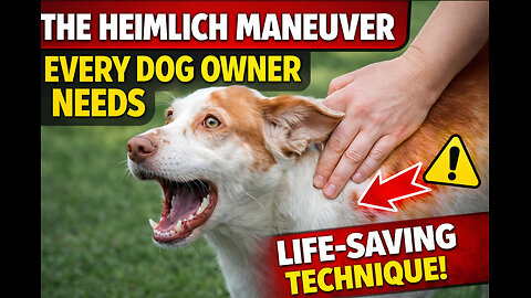 "The Heimlich Maneuver Every Dog Owner Needs"
