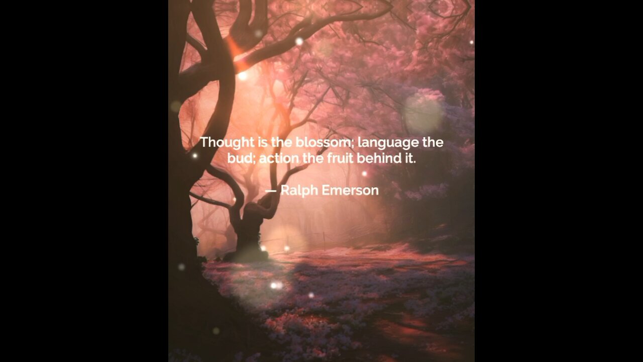 Your Qoute For A Day 18