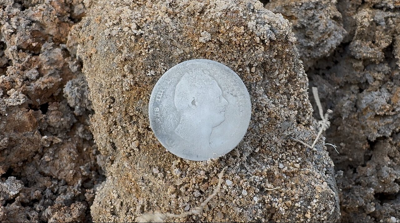 King William IIII Metal Detecting