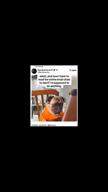 Cute Doggie! Love Pugs: Dan Scavino sending dog 🐶 comm? (9:10pm 14sec 10.25.25)