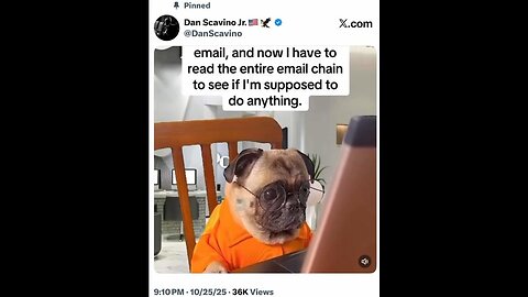 Cute Doggie! Love Pugs: Dan Scavino sending dog 🐶 comm? (9:10pm 14sec 10.25.25)