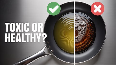 Toxic vs Healthy Fats: What Really Happens in Your Body