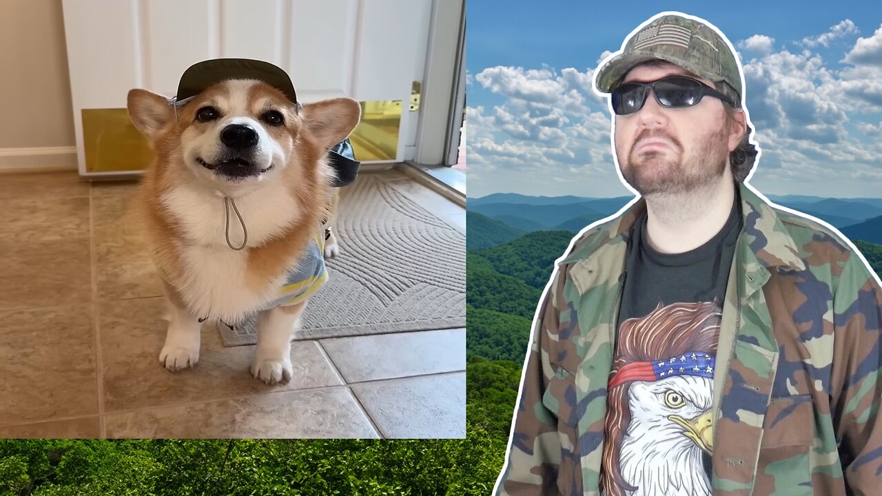 If Disney Casted Pets! (Hammy And Olivia) - Reaction! (BBT)