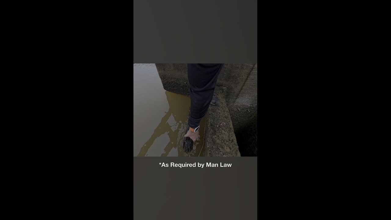 Law-Abiding Citizen