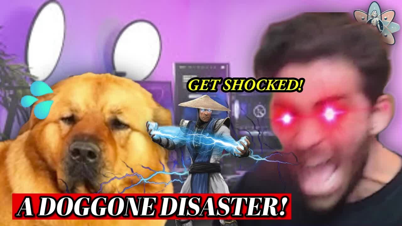 ⚡HASAN'S DOGGONE DISASTER ⚡