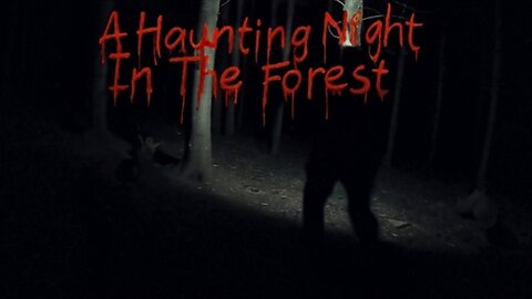 A Haunting Night In The Forest