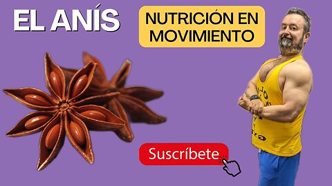 🌟 ANÍS: EL SECRETO NATURAL PARA MEJORAR TU SALUD 🌿