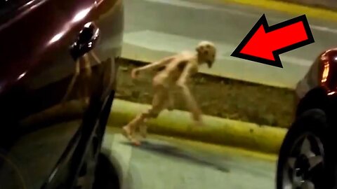 10 Cryptids Caught On Camera