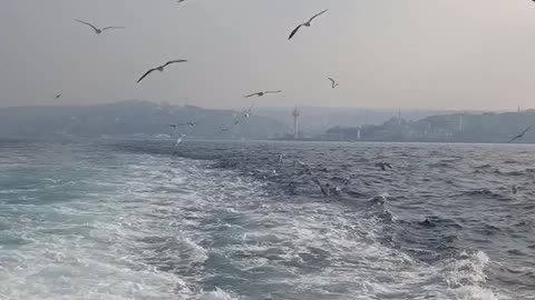 Daily Horoscope | Cancer 🌟