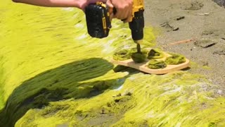 Wait till you see what the seaweed is for🌿