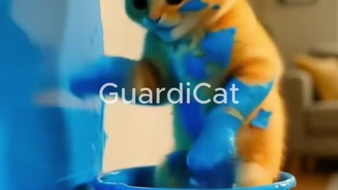 🐱💦 Mischievous Kitten’s Daily Chaos Living Room
