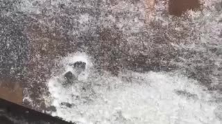 "Our Guys Got Completely Fried"(Russian Column Wiped Out)