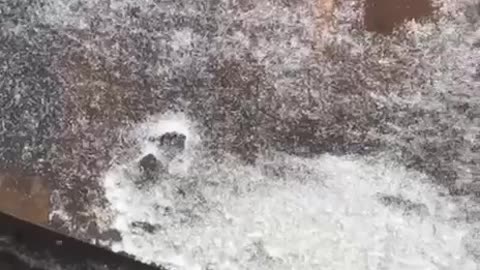 "Our Guys Got Completely Fried"(Russian Column Wiped Out)