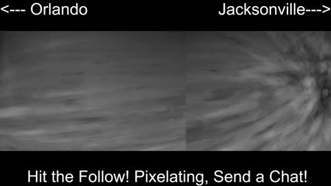 Central FL Wildlife Watch: St. Johns River 24/7 Live 🐊🌿