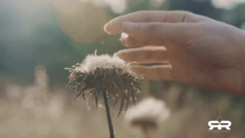 The Thinker & Prover: The Awakening vs. The Brainwash ..Breaking down the Human Brain 2026 Reese Report