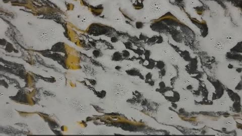 Daily Horoscope | Aquarius 🌟