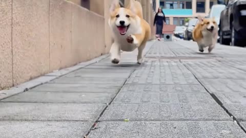 ✨🧽 The Quickest Way to Clean Your Kitchen Surfaces! | LifeHacksDaily